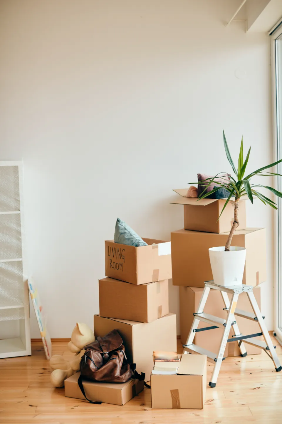 Pile de cartons de déménagement devant un mur blanc, avec une plante verte sur un escabeau et des objets personnels au sol.
