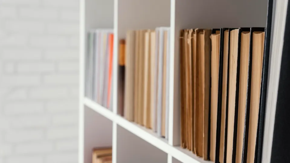 Vue rapprochée d'une étagère blanche remplie de livres et de classeurs, dont certains ont des couvertures en carton brun et d'autres des reliures colorées.